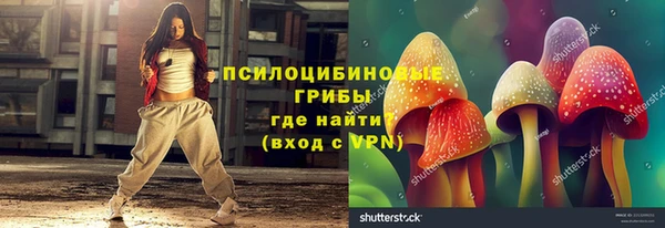 бошки Лабытнанги