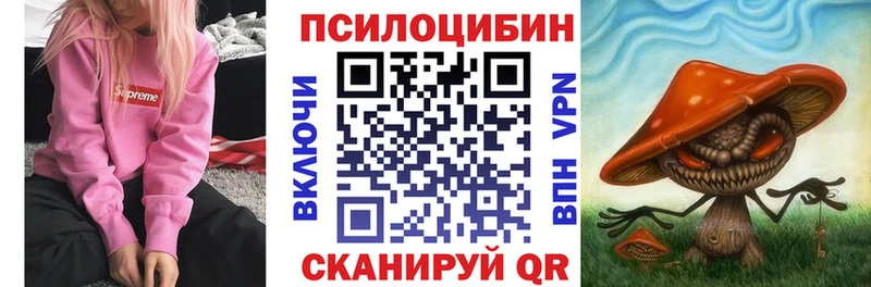 Галлюциногенные грибы мицелий  Купить  Петровск 