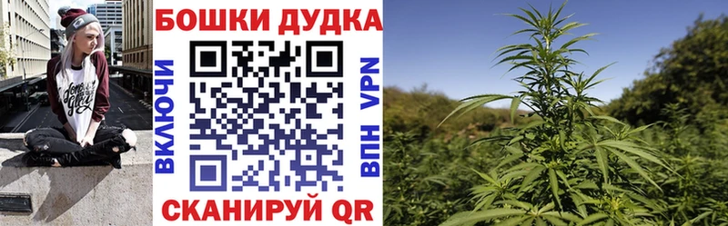 Купить где  Петровск  Каннабис AK-47 